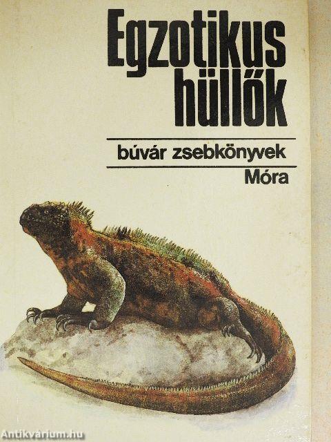 Egzotikus hüllők