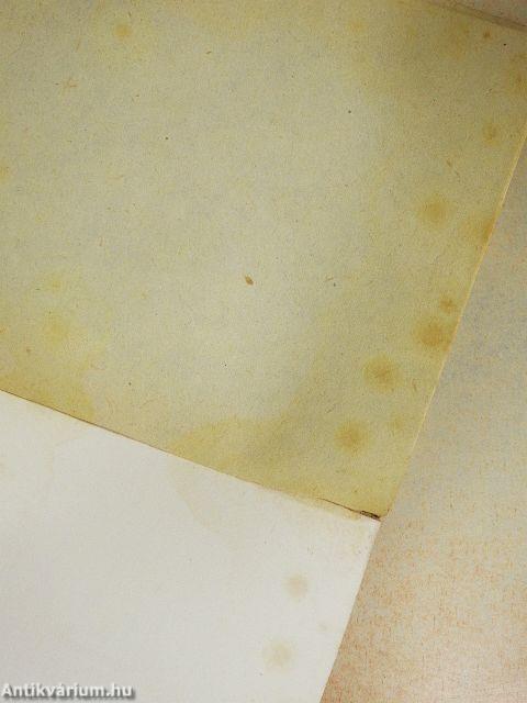 Versek és műfordítások