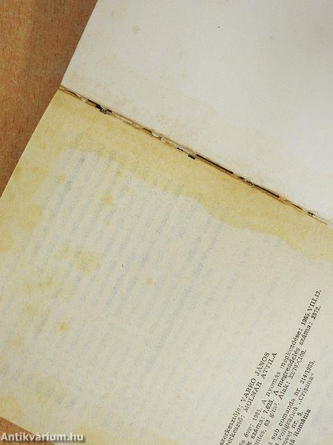 Versek és műfordítások