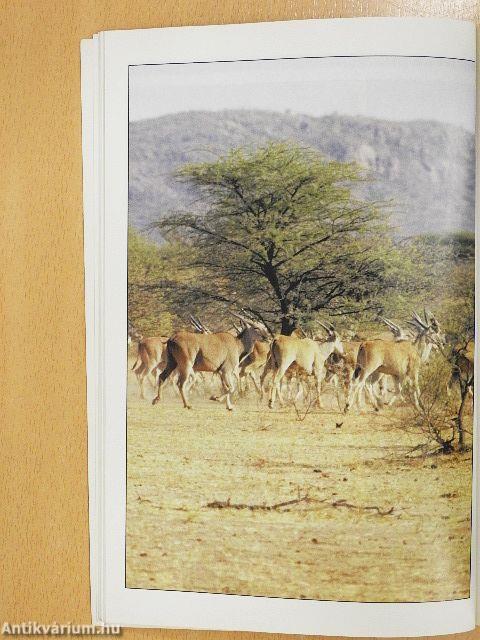 Távoli tájak élővilága/Az élőlények rendszere