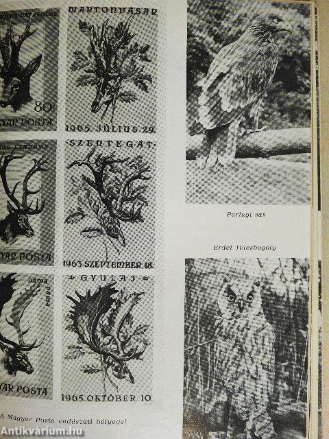 Védett területek, növény- és állatritkaságok