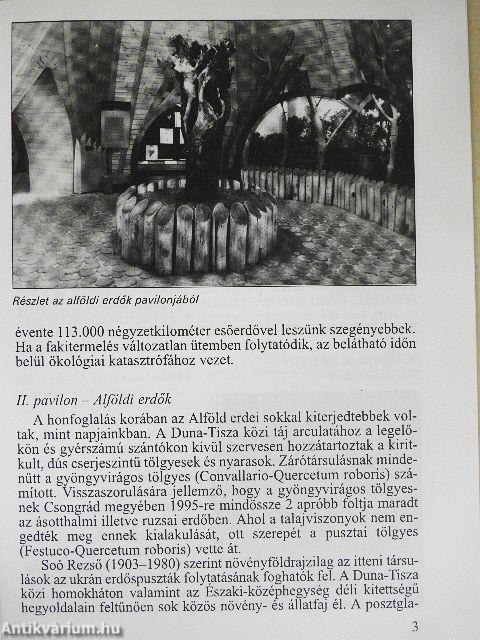 Ópusztaszer - Nemzeti Történeti Emlékpark - "Erdő és ember" kiállítás