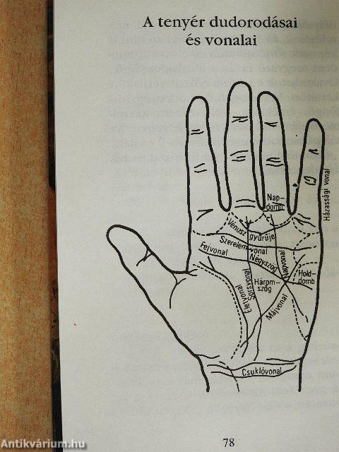 A kéz könyve (Tenyérjóslás)