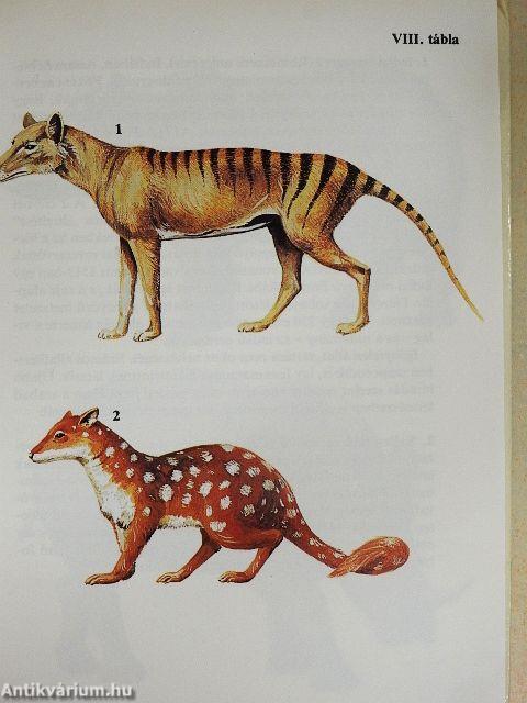 Egyszervolt állatok