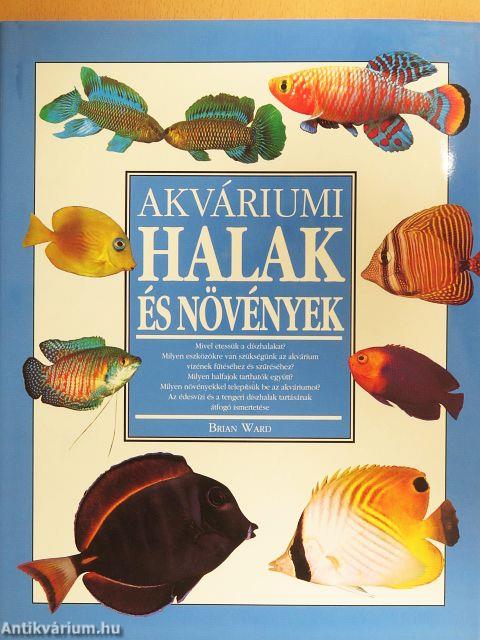 Akváriumi halak és növények