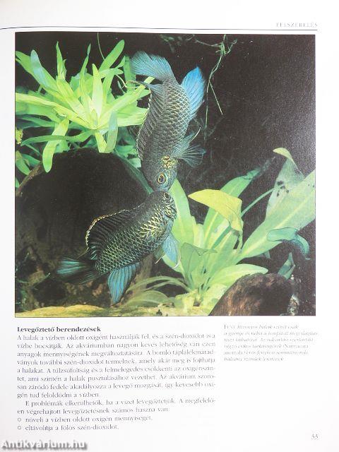 Akváriumi halak és növények