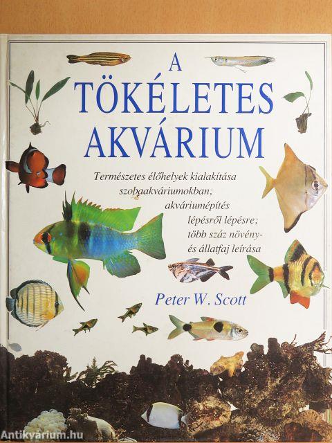 A tökéletes akvárium