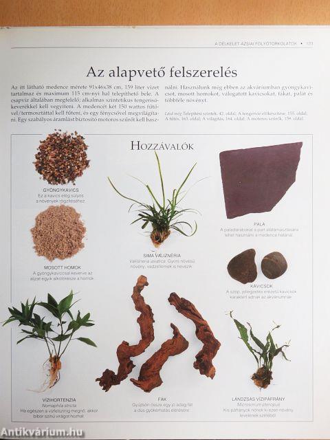 A tökéletes akvárium