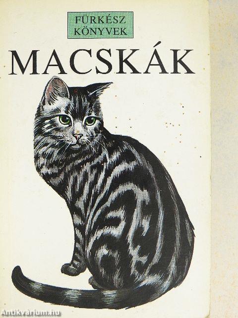 Macskák