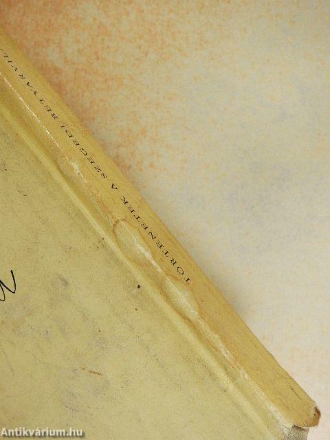 Történetek a szegedi betyárvilágból