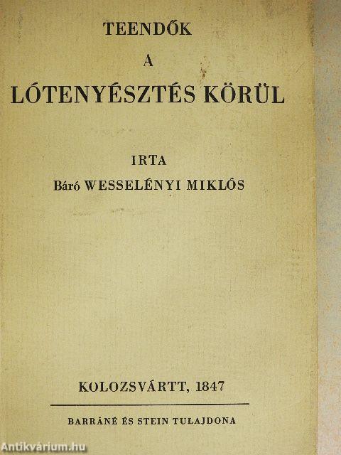 Teendők a lótenyésztés körül