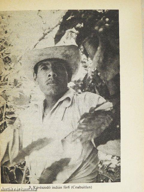 Az istenanyák indiánjai