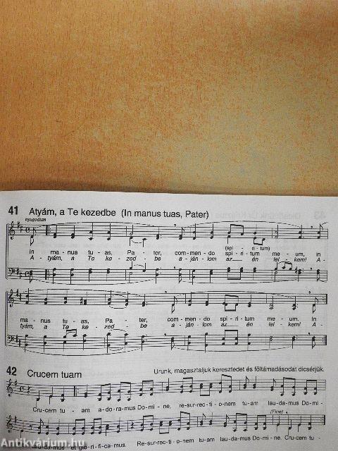 Imádkozzunk együtt minden nap