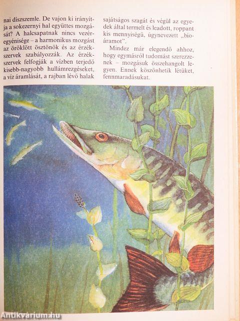 Bölcső a víz alatt