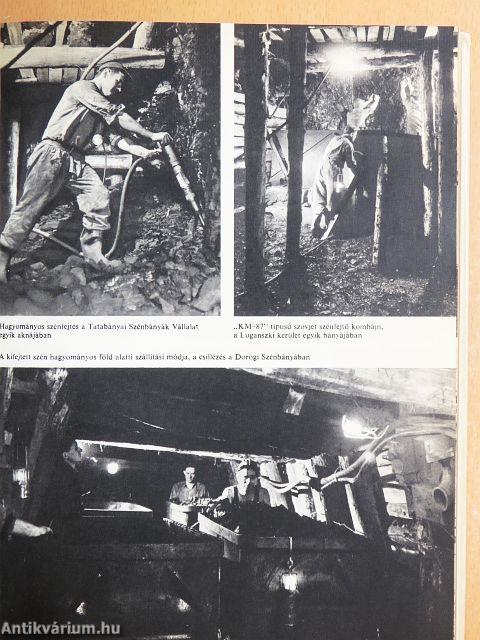 Jövőnk kulcsa az energia