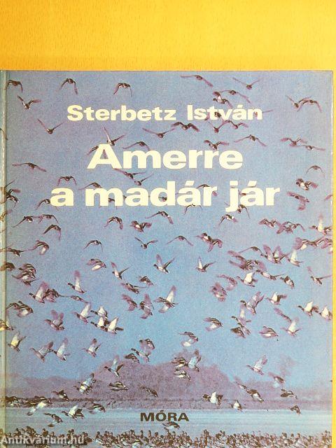 Amerre a madár jár