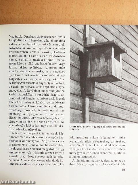 Amerre a madár jár