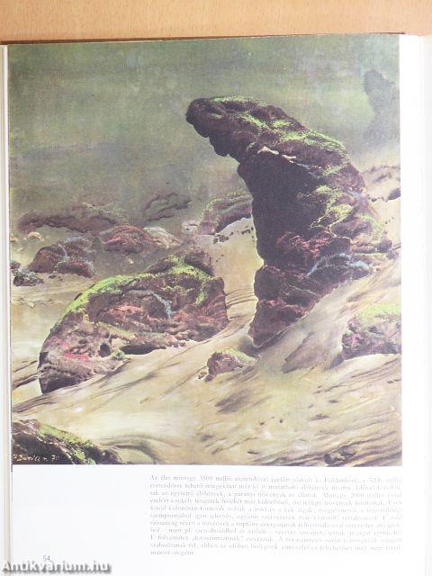 Élet az ember előtt