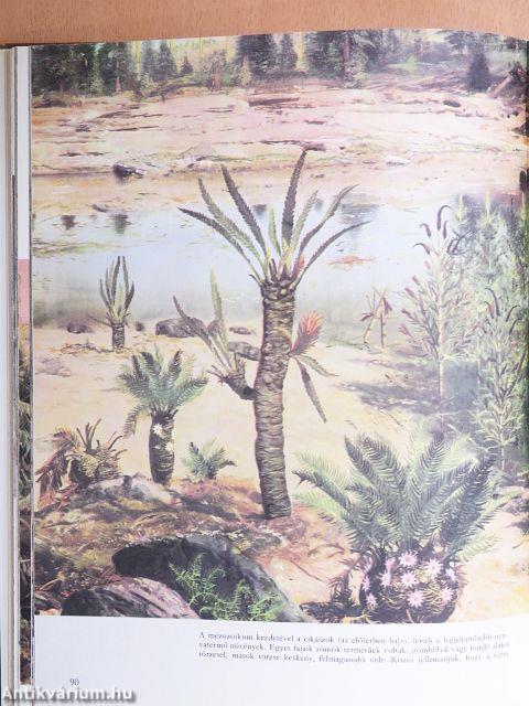 Élet az ember előtt