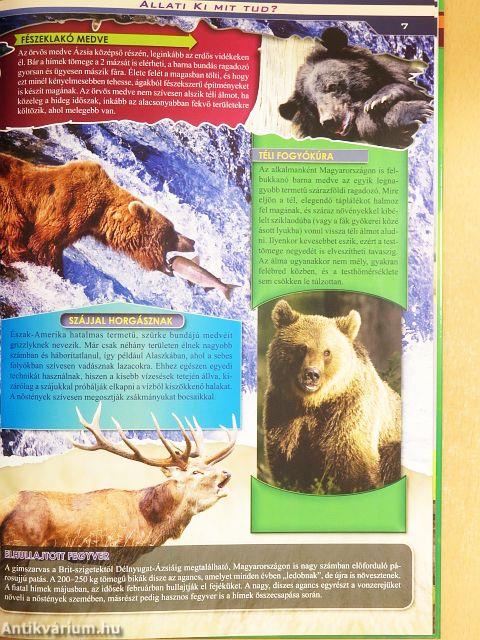 Állati ki mit tud?