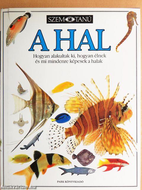 A hal 