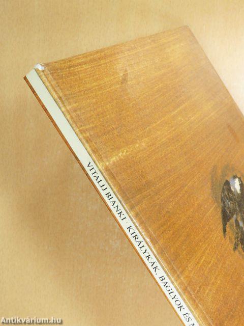 Királykák, baglyok és más erdei madarak