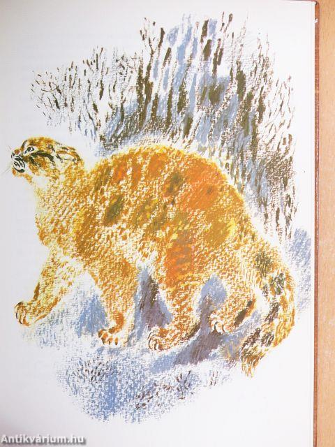 Királykák, baglyok és más erdei madarak