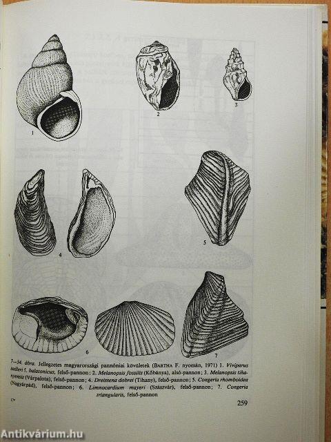 A Föld és az élet fejlődése