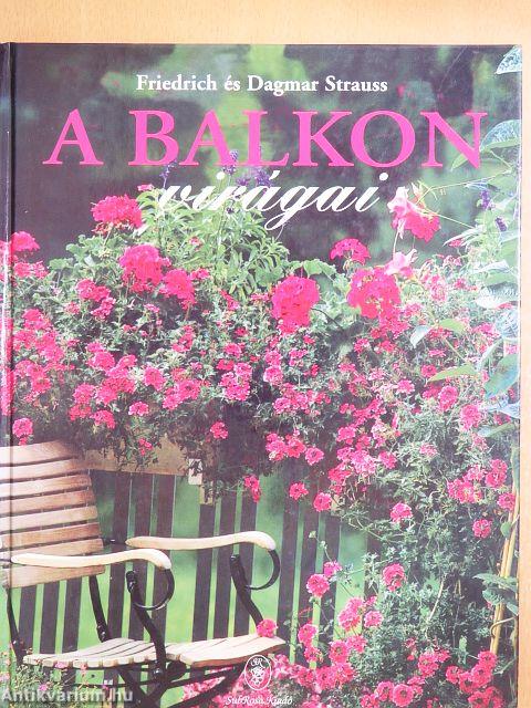 A balkon virágai