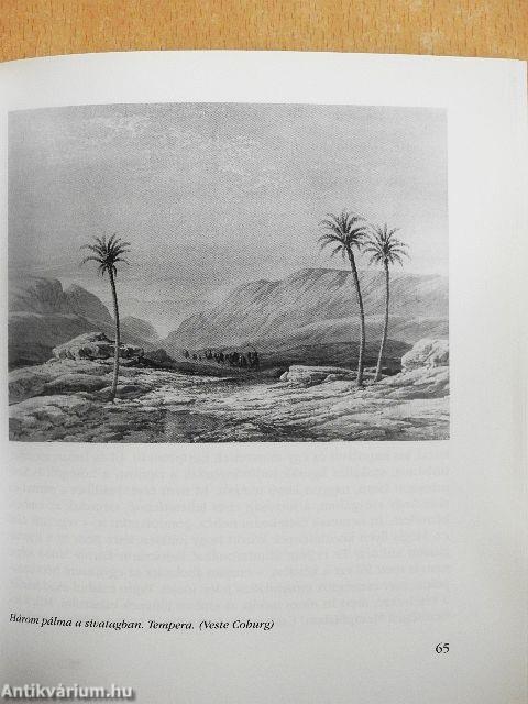 Reissmann Károly Miksa életműve