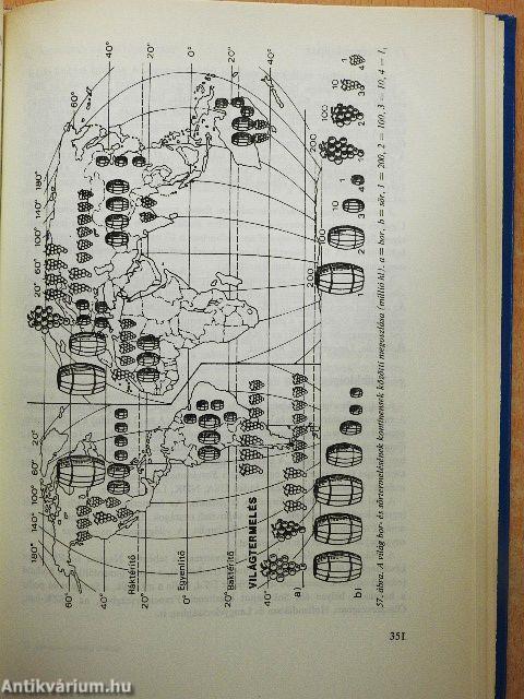 Általános gazdasági földrajz