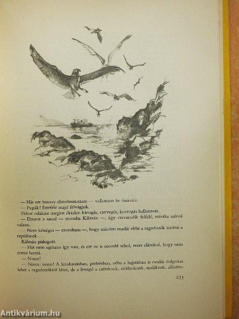 Kittenberger Kálmán élete 