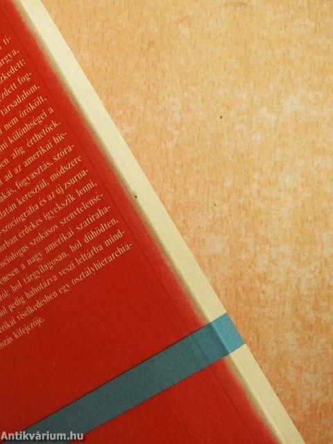 Osztálylétrán Amerikában