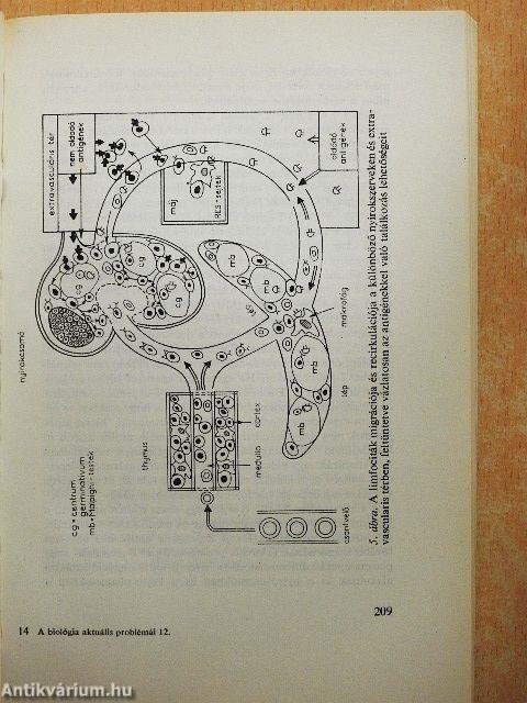 A biológia aktuális problémái 12.
