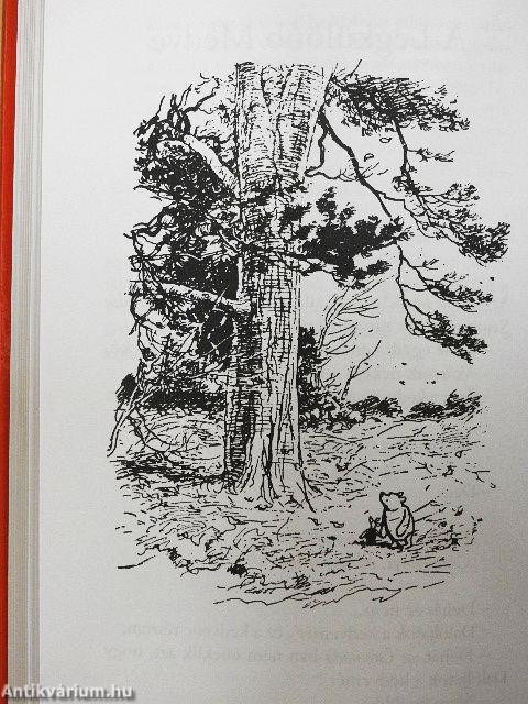 Micimackó és a tao