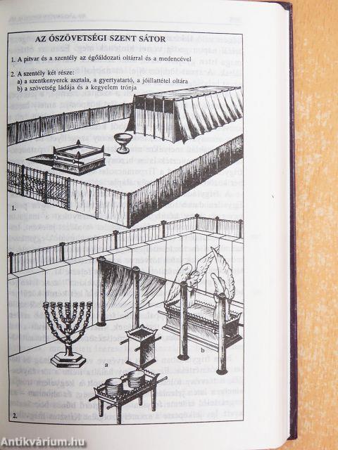 Pátriárkák és próféták