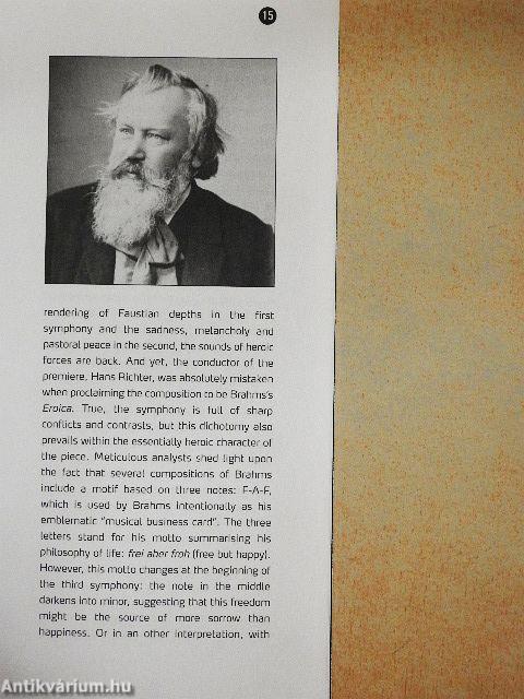 Budapesti Fesztiválzenekar 2012/2013