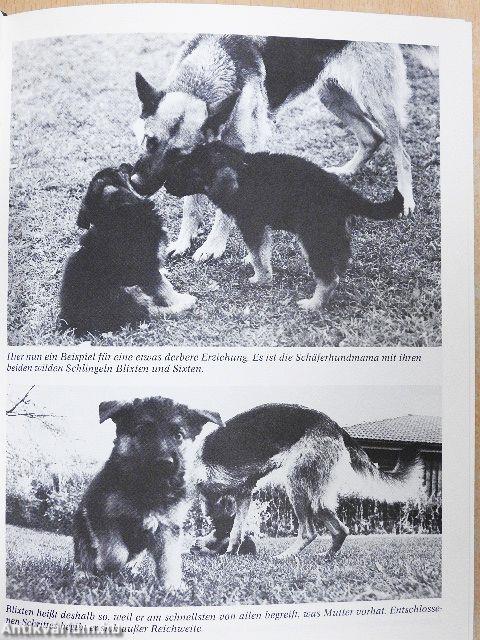 Frida  - »Alle diese Welpen«