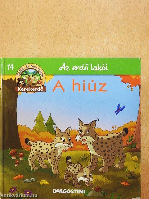 A hiúz
