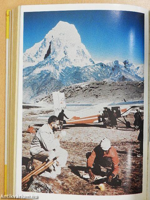 Kockázat nélkül nincs győzelem