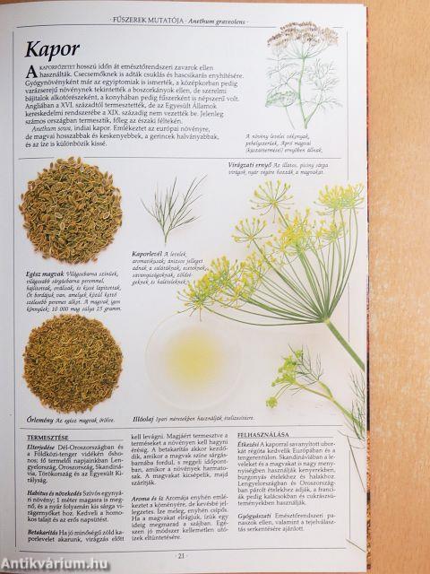 Fűszerek nagy képeskönyve