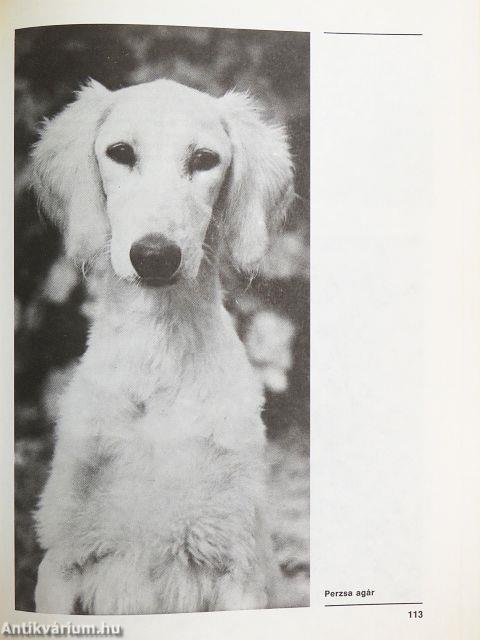 Ó, azok a csodálatos ebek!