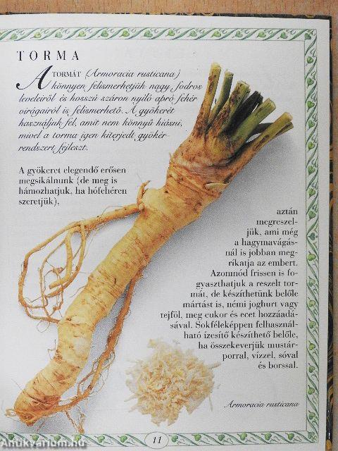 Kerti fűszernövények