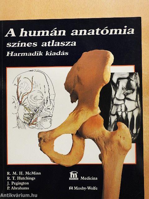 A humán anatómia színes atlasza