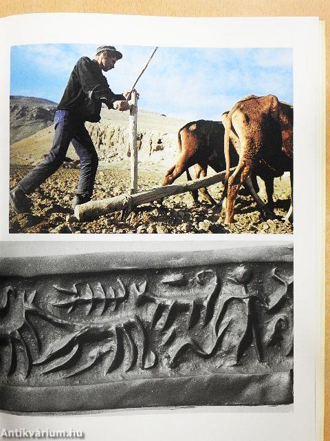 A civilizáció hajnala