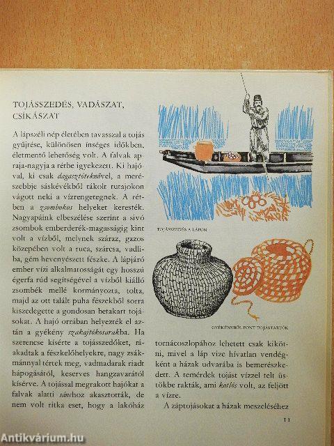 Amiről az Ecsedi-láp mesél