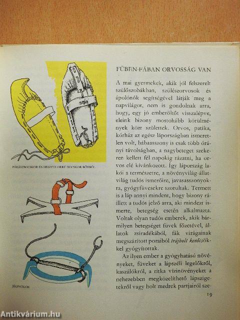 Amiről az Ecsedi-láp mesél