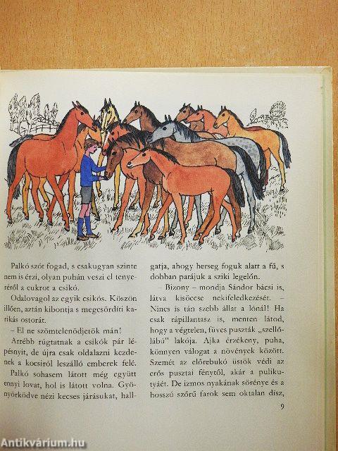 Sárga csikó, csengő rajta