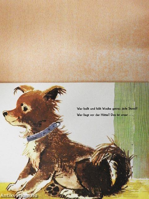 Wer kennt meine Tiere