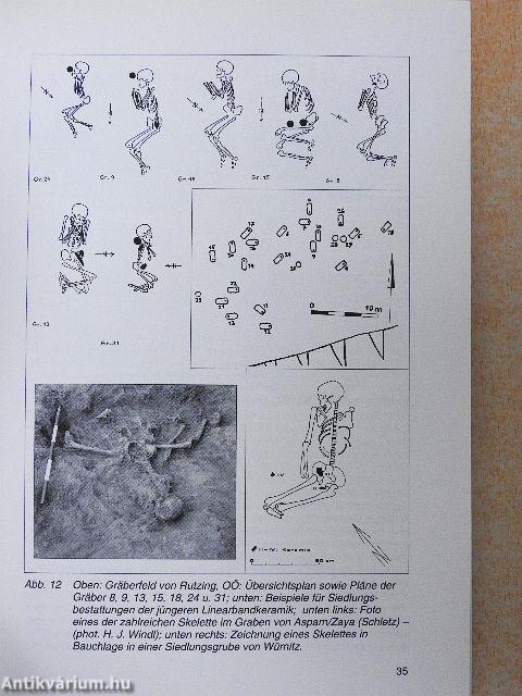 Jungsteinzeit im Osten Österreichs